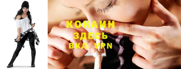 твердый Арсеньев