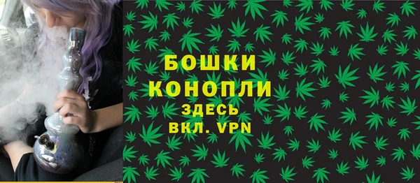 твердый Арсеньев