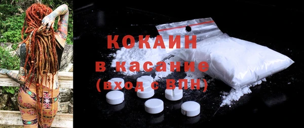 твердый Арсеньев