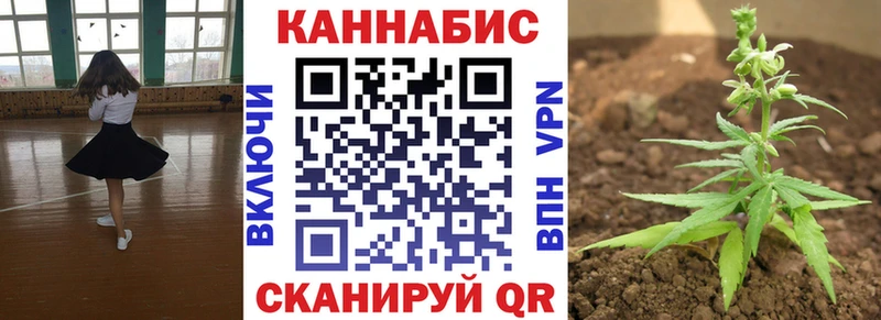 Купить закладки  Сертолово  Бошки марихуана White Widow 